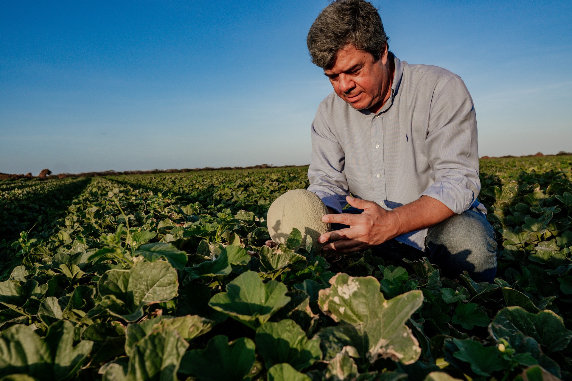 (Foto: JÚLIO CAESAR)Luiz Roberto Barcelos, sócio fundador da Agrícola Famosa