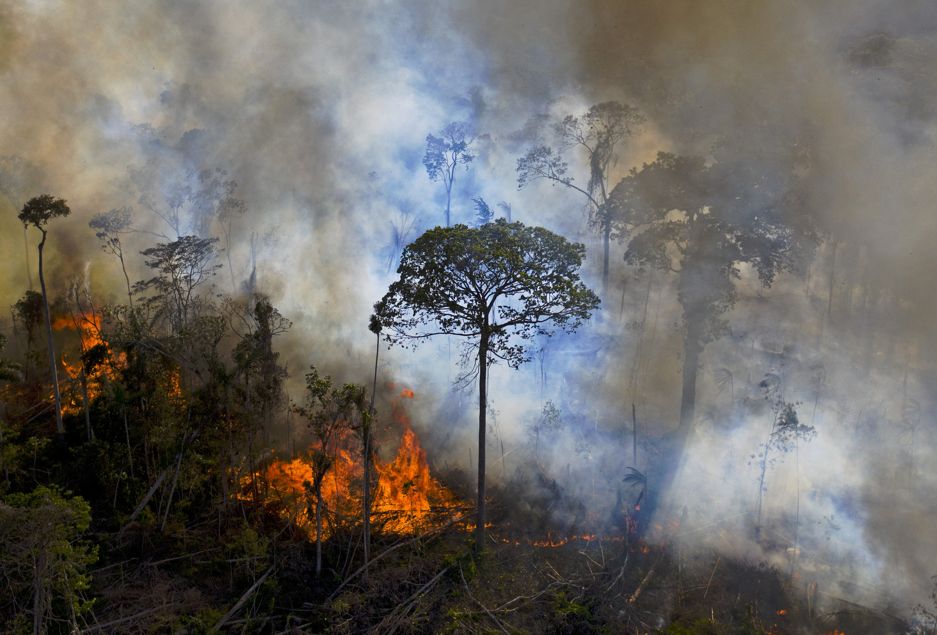 Nesta foto de arquivo tirada em 15 de agosto de 2020, a fumaça sobe de um incêndio aceso ilegalmente na reserva da floresta amazônica, ao sul de Novo Progresso, no estado do Pará, Brasil. O desmatamento na Amazônia brasileira caiu 61% em janeiro de 2023, primeiro mês do governo do presidente Luiz Inácio Lula da Silva, em relação ao mesmo período de 2022, segundo relatório oficial divulgado em 10 de fevereiro de 2023