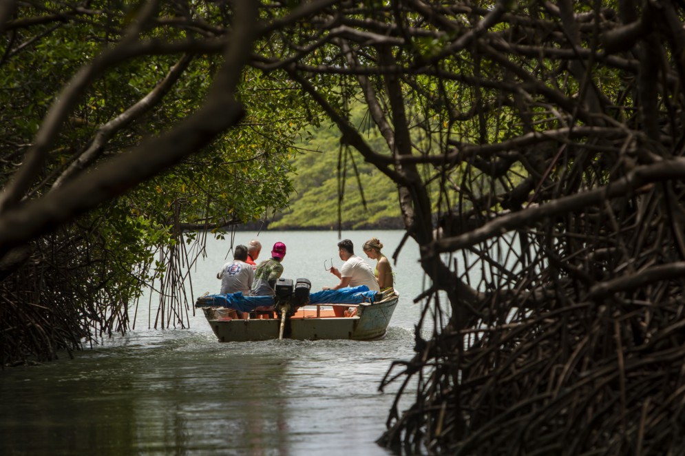 Passeio no rio Aracatiaçu, em Amontada: território em conflito devido a construções irregulares de estrada destruindo o mangue(Foto: FCO FONTENELE)