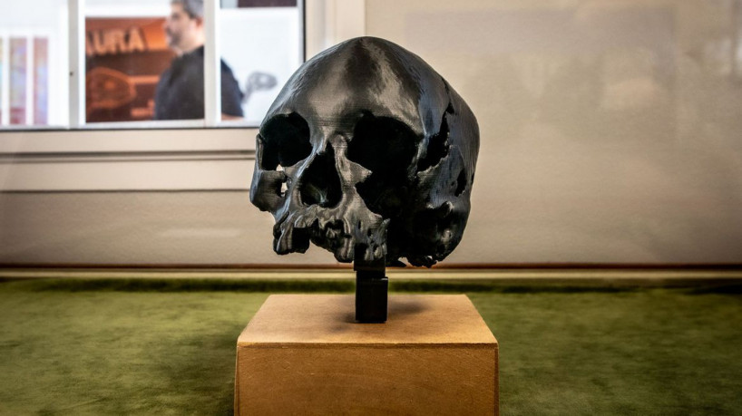 Museu Nacional/UFRJ prevê entrega de biblioteca científica em março