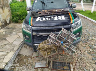 Animais estavam em gaiolas no alpendre da casa 