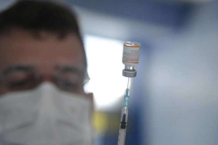 Brasil começa a aplicar vacina bivalente contra covid-19