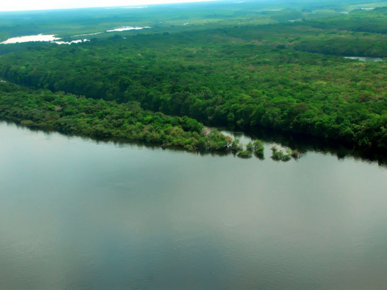 EUA estão empenhados em arrecadar recursos vultosos para Amazônia 