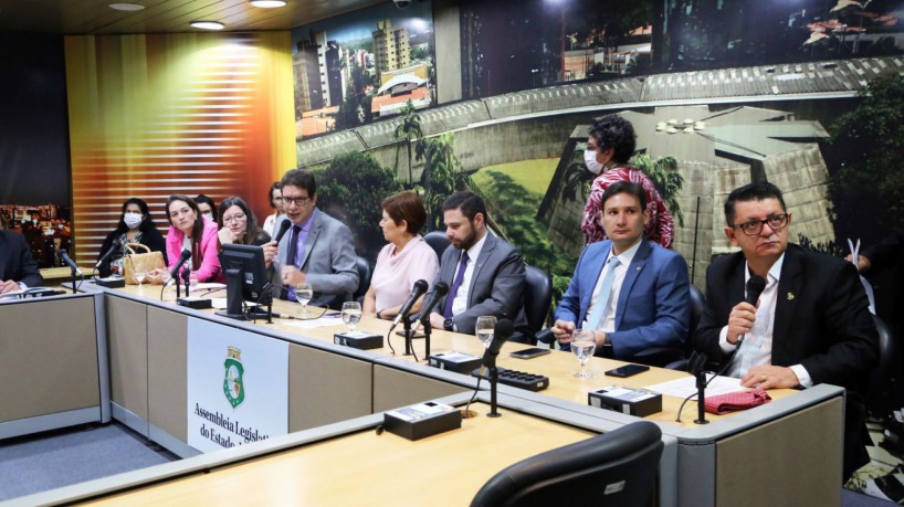 Assembleia Legislativa define nomes de líder e vice-líder de Comissões Técnicas Permanentes