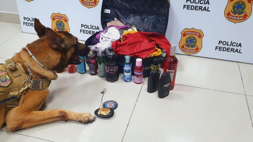 4 kg de cocaína foram encontrados na bolsa de uma mulher no Aeroporto de Fortaleza