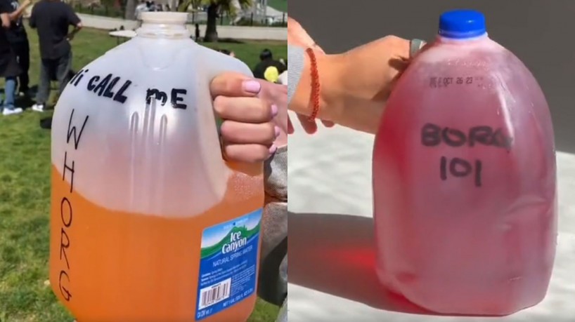 Os chamados "Borgs" s&atilde;o feitos com mistura de &aacute;gua, eletr&oacute;litos, &aacute;lcool, entre outros ingredientes