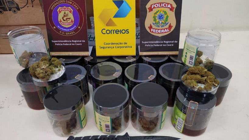Maconha encontrada em encomenda postal nessa quinta-feira, 9, em Fortaleza