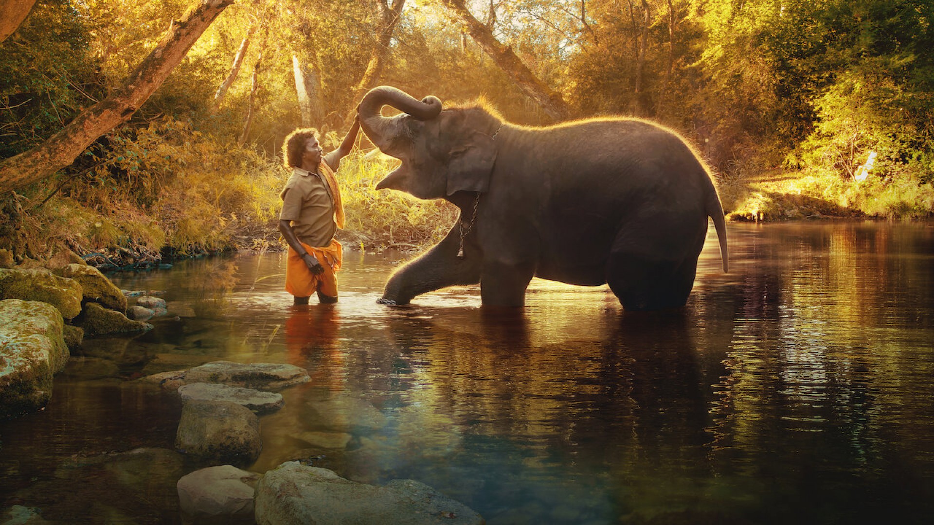 "Como Cuidar de um Bebê Elefante" está disponível na Netflix
