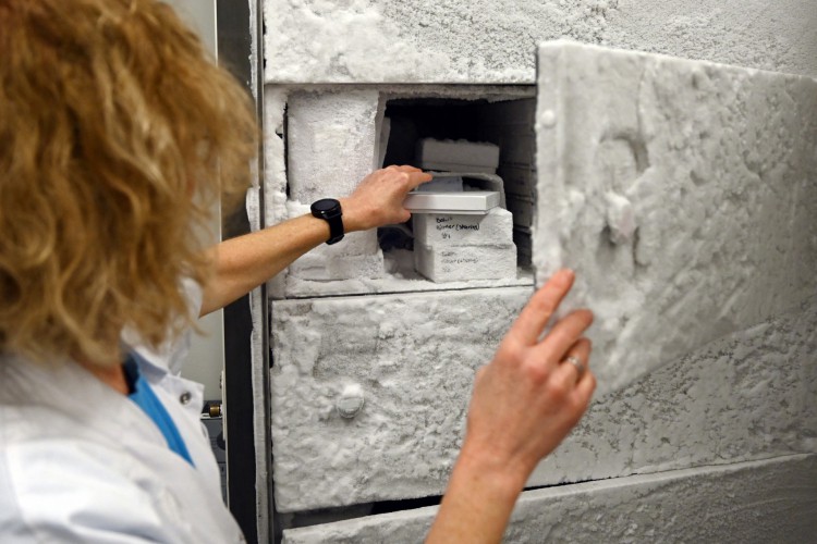 Susana Aznar Kleijn pega uma caixa com fragmentos de cérebro humano de uma geladeira, no laboratório do hospital Bispebjerg em Copenhague, em 3 de fevereiro de 2023