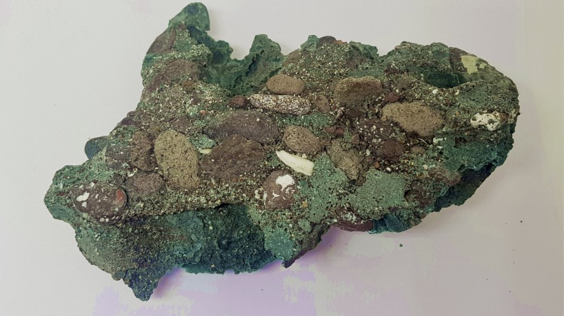 Esta foto divulgada pela Universidade Federal do Paraná (UFPR) mostra 