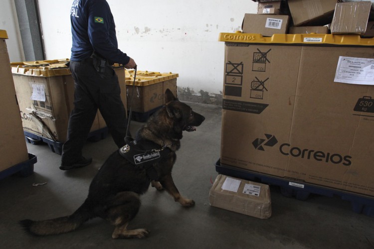 FORTALEZA, CE, BRASIL,19.04.2023:  Cães farejadores da Receita Federal no setor de cargas do aeroporto Internacional Pinto Martins.