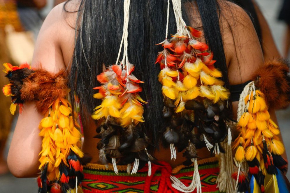 Em 2022, o IBGE dá conta de 1.693.535 indígenas residentes no Brasil.(Foto: Tomaz Silva/Agência Brasil)