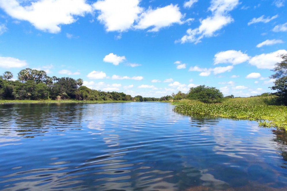 A partir da realidade do rio Jaguaribe, o professor Luiz Drude vem alertando sobre os riscos das mudanças climáticas(Foto: Samuel Setubal)