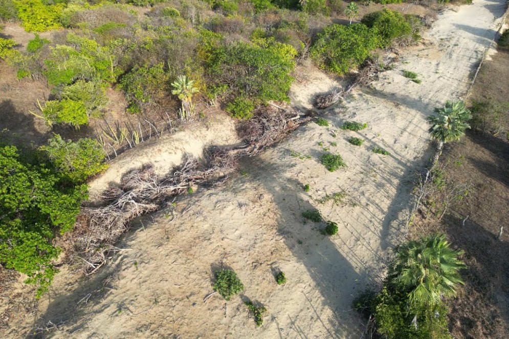 Estrada irregular construída na zona de mangue em Itarema(Foto: REPRODUÇÃO SECRETARIA MEIO AMBIENTE ITAREMA)