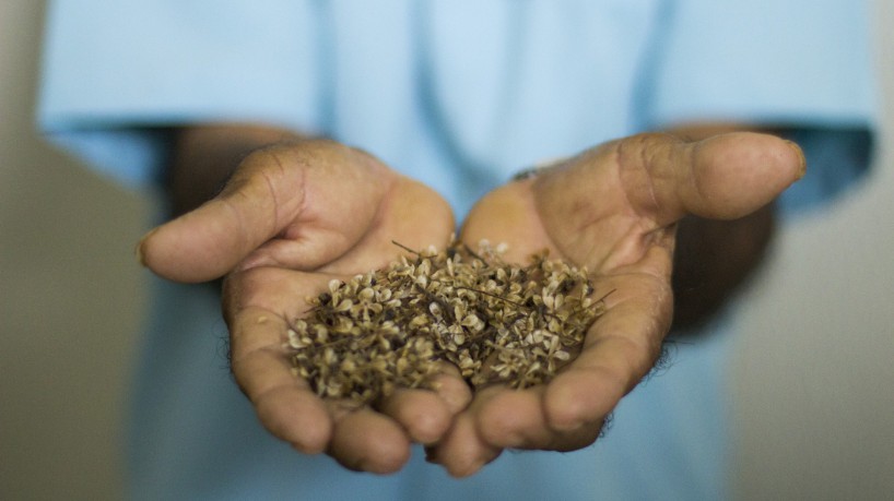Programação cultural de encerramento da 27ª edição do Encontro dos Profetas da Chuva terá música, artes visuais e literatura em Quixadá