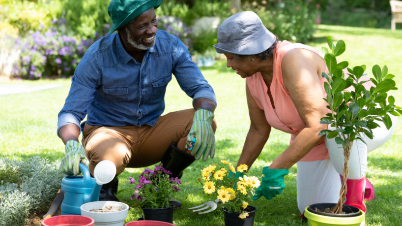 Existem diversos tipos de hortaliças que você pode cultivar em junho (Imagem: wavebreakmedia | Shutterstock)