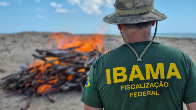 Penas por grilagem podem chegar a até 5 anos de prisão, além de multa