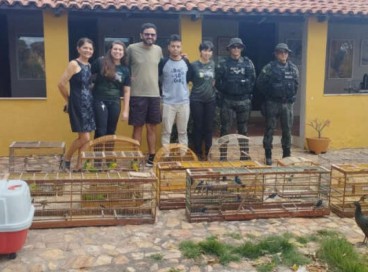 Os animais passaram por uma triagem antes de serem soltos na natureza  