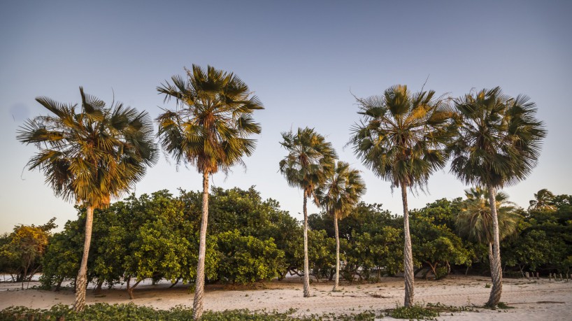 "O Preá é uma região que cresce cada vez mais", segundo o diretor comercial do Grupo Carnaúba, Rogério Carvalho.