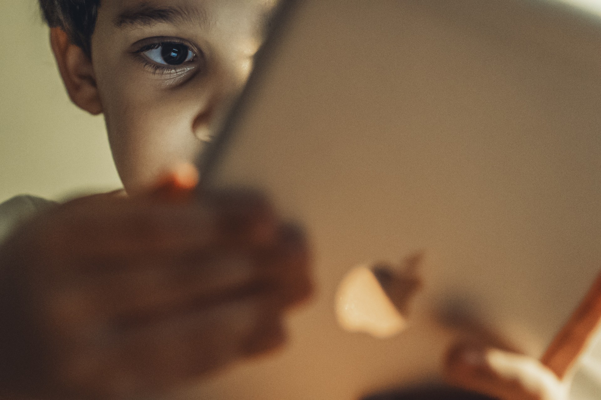Dinamarca proíbe redes sociais e Suécia volta aos livros: o alerta global sobre o futuro das crianças (Foto: FCO FONTENELE)