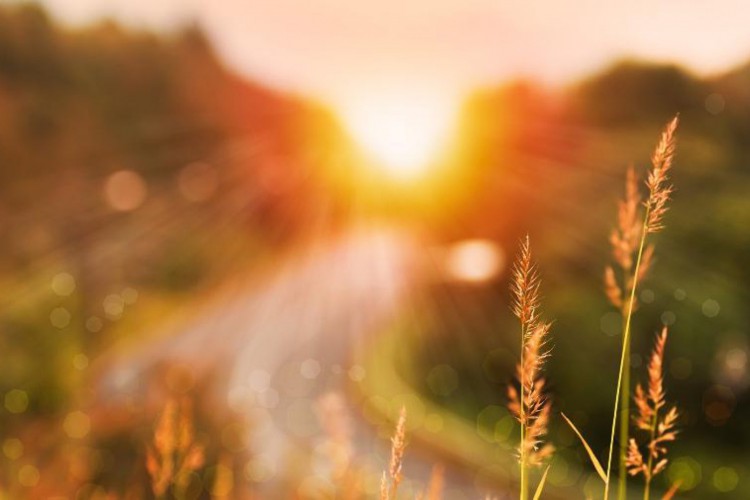 Estações do ano são influenciadas pelo próprio eixo de inclinação da Terra; entenda como acontece o solstício de inverno no Hemisfério Sul 