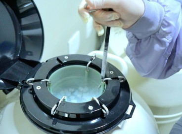 A criopreservação de células reprodutivas é realizada por especialistas em reprodução humana 