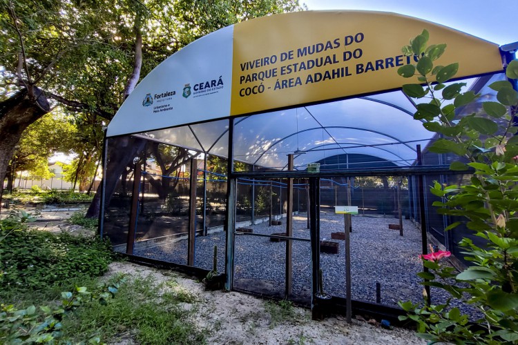 Estufa de mudas no Parque Adahil Barreto  (Fco Fontenele/OPOVO)