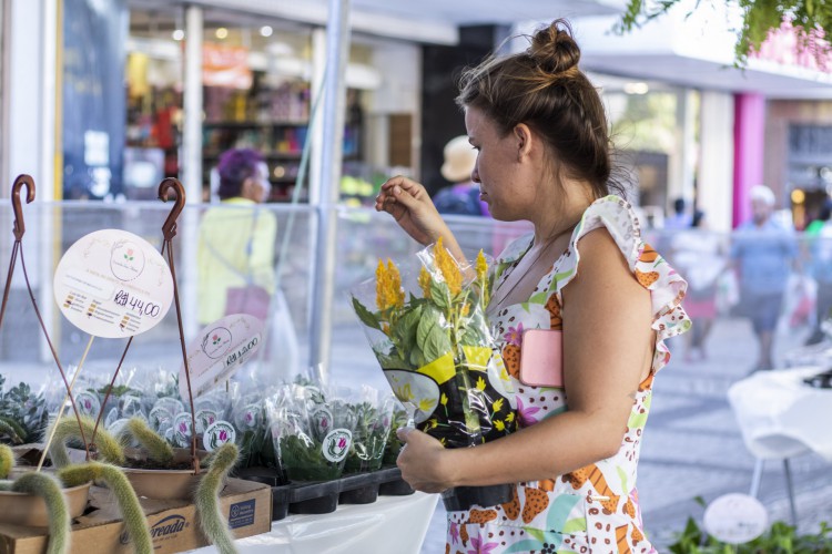 FORTALEZA, CEARÁ, BRASIL, 04-07-2023: Festival de Flores de Holambra, no Centro de Fortaleza. (Foto: Fernanda Barros/ O Povo)