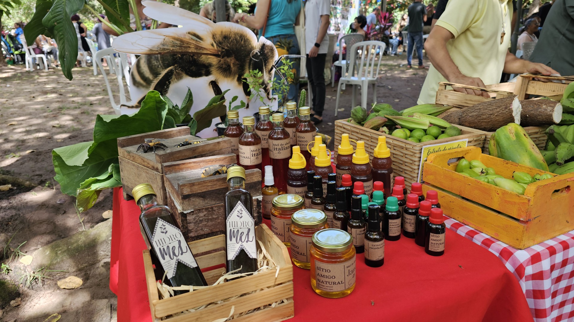 Além de frutas, verduras e legumes, produtos naturais estavam à venda na Festa da Colheita da Agroecologia, no Parque do Cocó