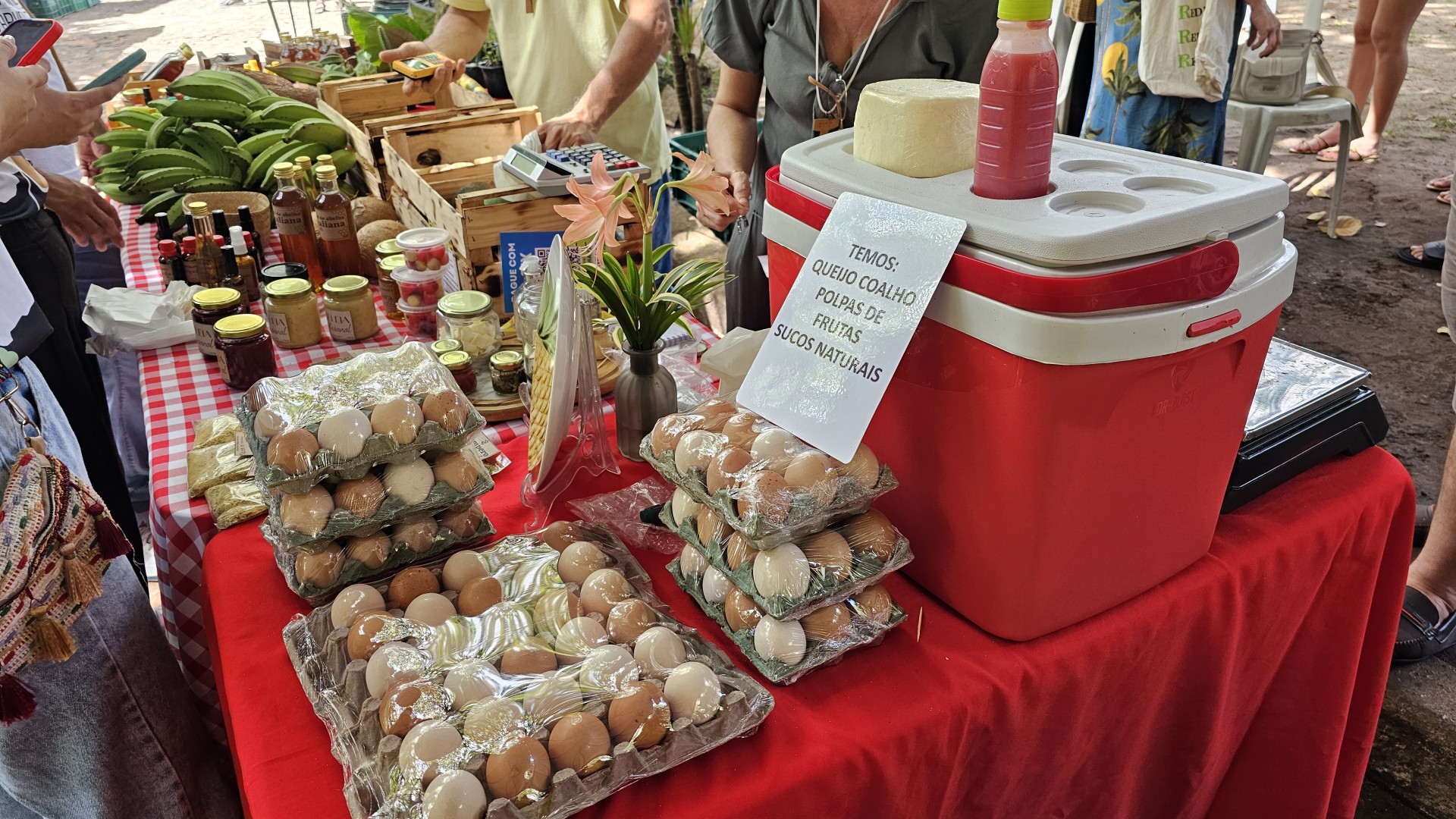 Além de frutas, verduras e legumes, produtos como ovos de galinha com criação sustentável e queijo de coalho artesanal estavam à venda na Festa da Colheita da Agroecologia, no Parque do Cocó