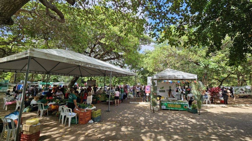Festa da Colheita da Agroecologia reuniu produtores rurais, artesanato e atividades culturais no Parque do Cocó