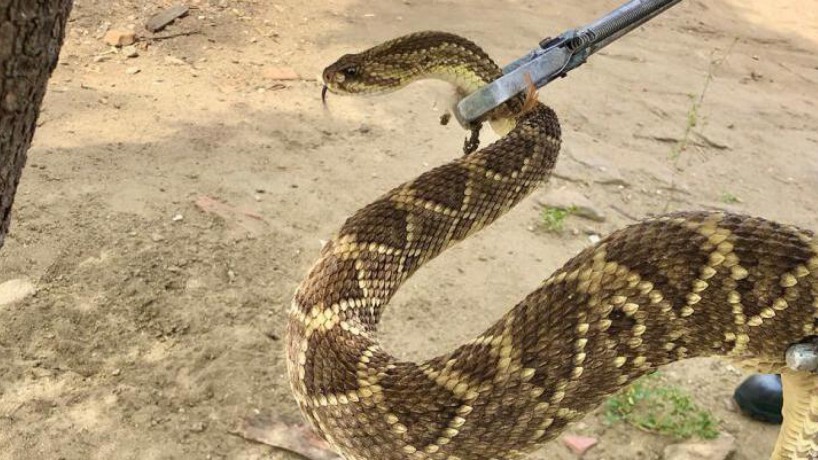 Bombeiros foram acionados por volta do meio-dia dessa quarta-feira