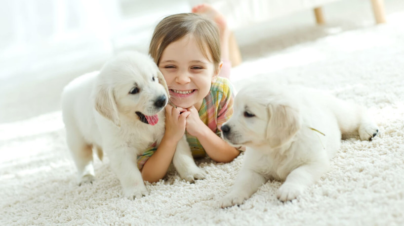 Para garantir a saúde e o bem-estar dos filhotes, é preciso retirar de seu alcance tudo aquilo que possa colocar sua vida ou saúde em risco (Imagem: Nina Buday | Shutterstock)