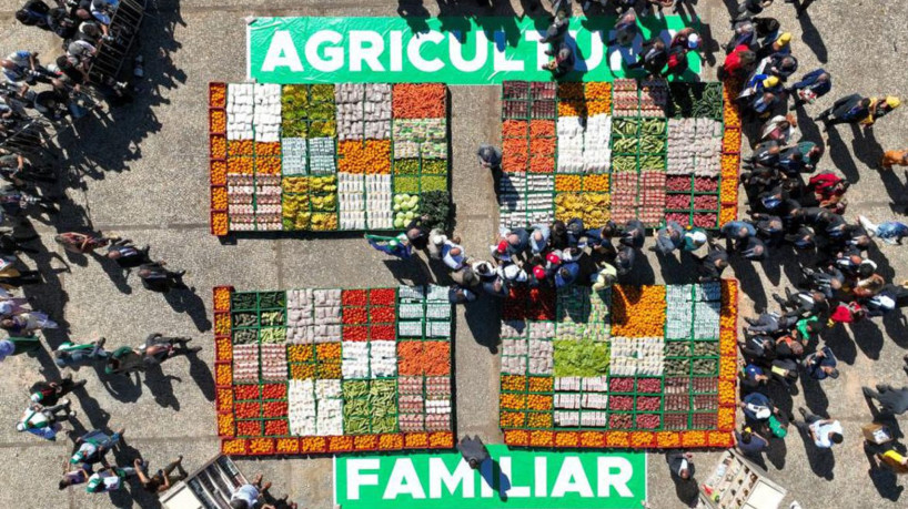 Lançamento do Plano Safra da agricultura familiar (Foto: Ricardo Stuckert/ PR)