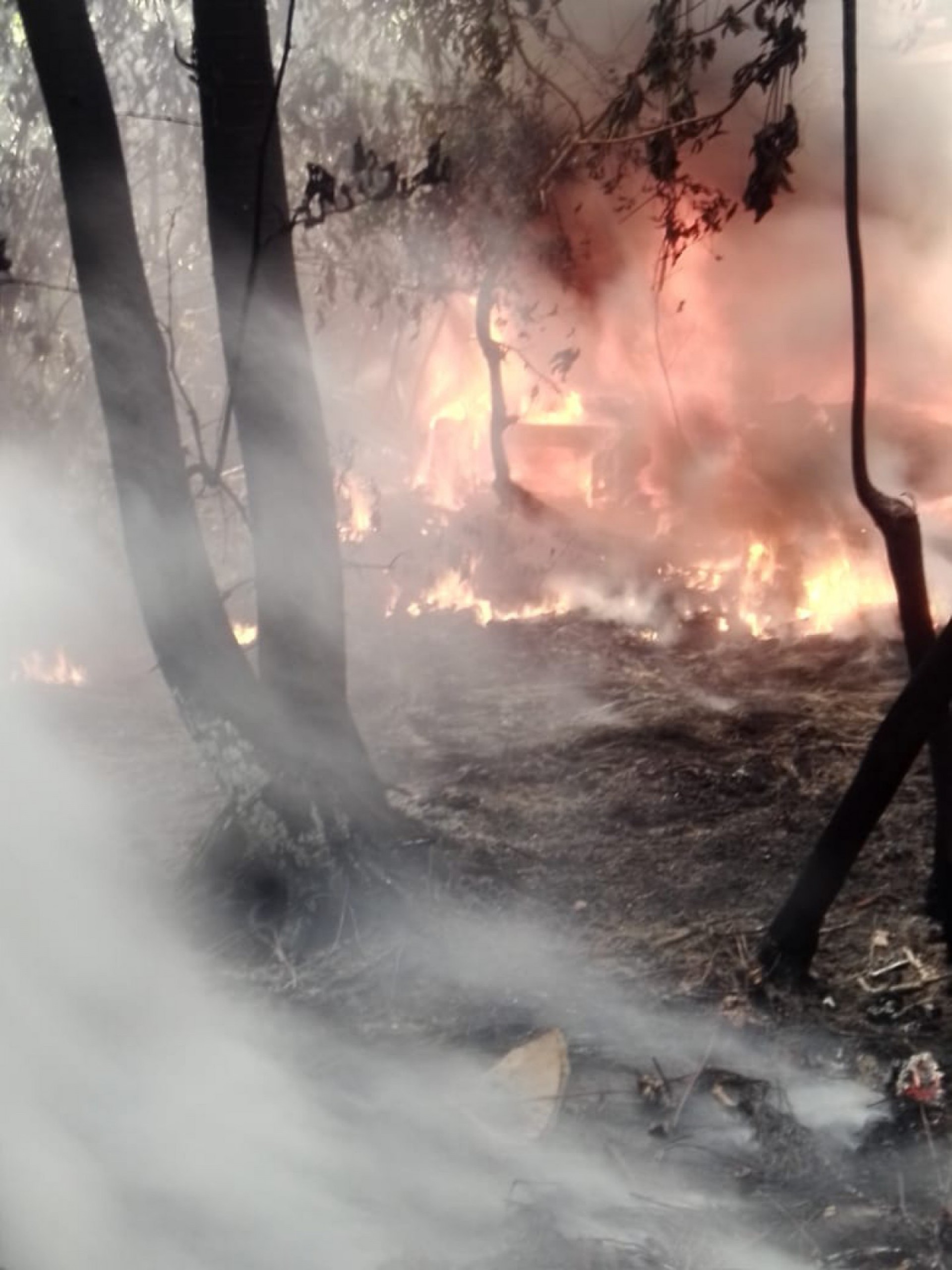 Terreno é atingido por incêndio no Mondubim