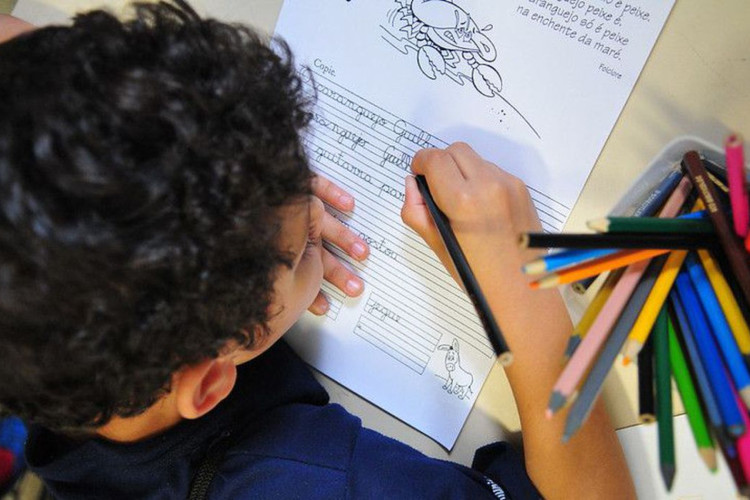 MEC empossa membros de colegiados do Compromisso Criança Alfabetizada