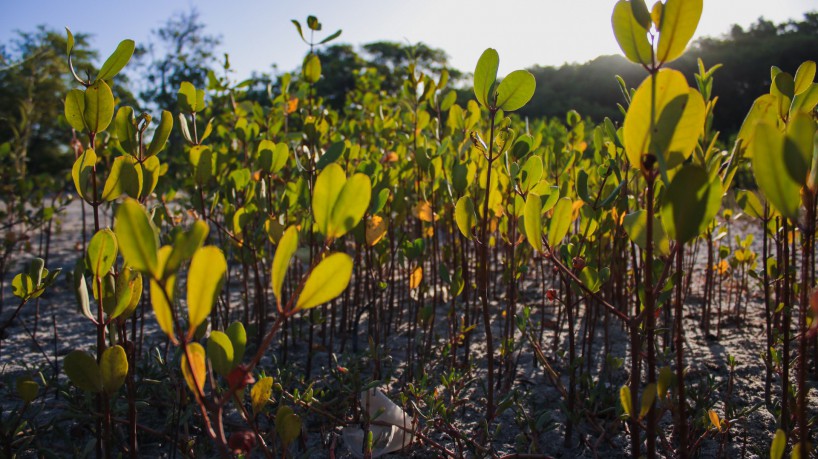 Semana foi oficialmente aberta nessa quarta-feira, 26 de julho