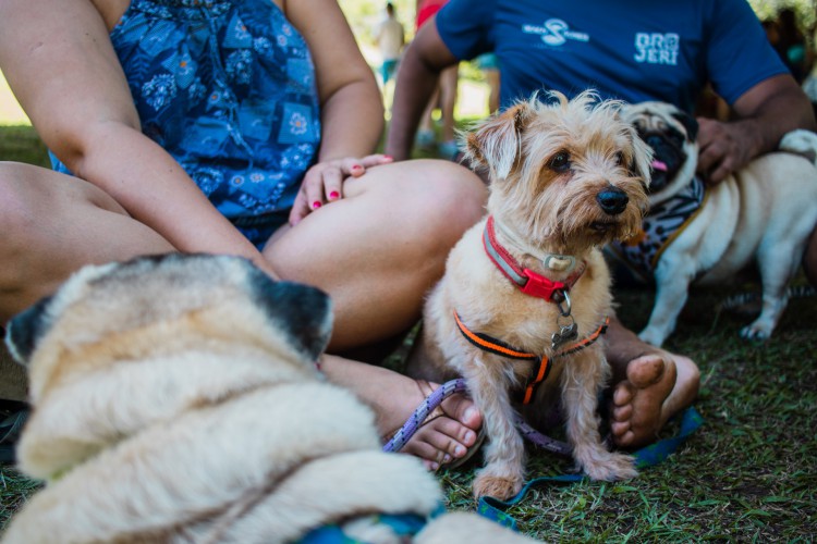 FORTALEZA, CEARÁ, 30-07-2023: Fim das férias escolares em Fortaleza. Pais aproveitam para levar seus filhos ao Parque do Cocó, na programção do Viva O Parque.  (Foto: Fernanda Barros/ O Povo)