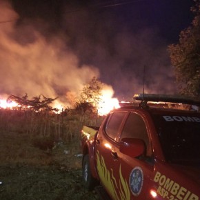 Fogo atinge vegetação