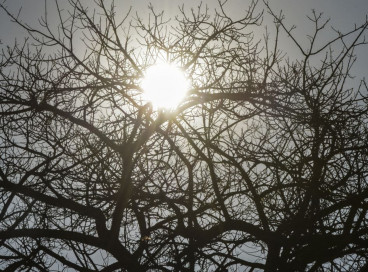 Imagem de apoio ilustrativo: estiagem prolongada é a principal causa do reconhecimento da situação de emergência 