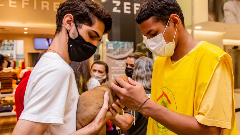 Feira de adoção animal acontece neste sábado, 12, no Eusébio