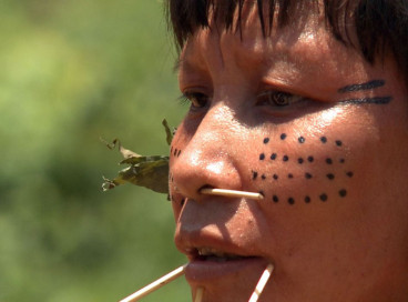 Cadê os Yanomami?
