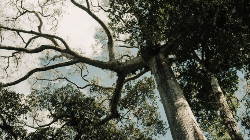 Projeto Creators Academy em terra indígena no Acre. Foto: Edgar Azevedo