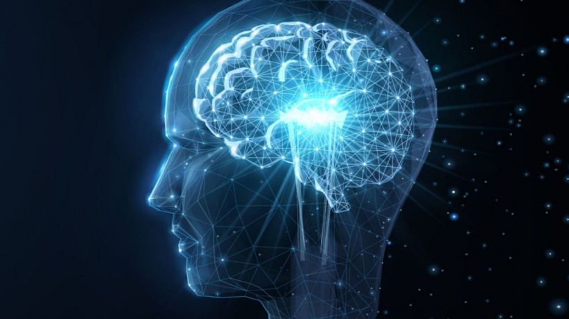 Na superdotação, esquecer não é falha, é estratégia cerebral para otimizar o pensamento (Imagem: CoreDESIGN | Shutterstock)