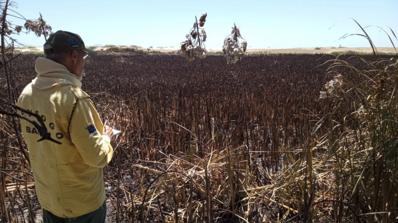 Brigadistas do Prevfogo/Ibama combatem as chamas