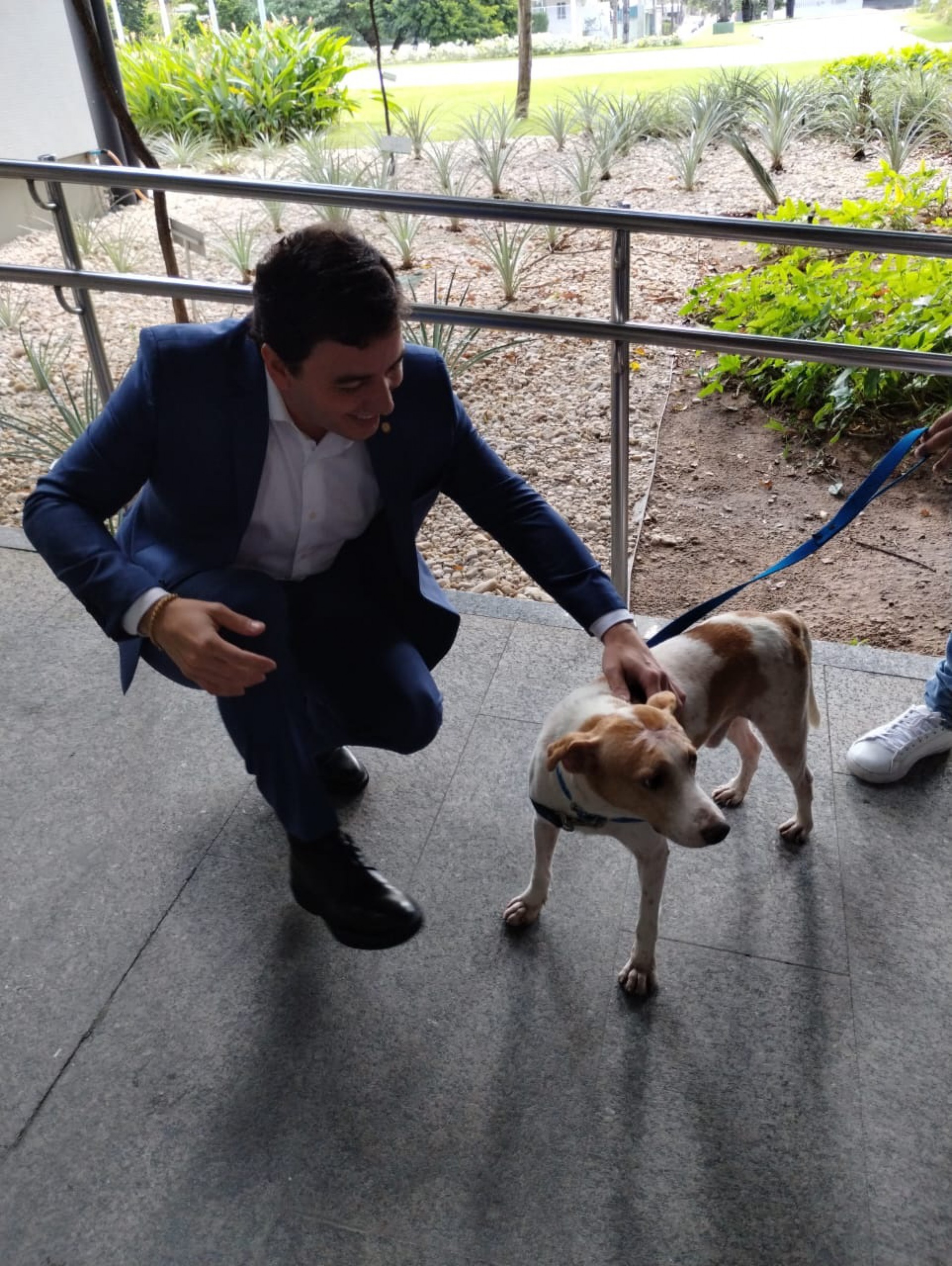 Posse de Célio Studart na Secretaria da Proteção Animal, no Palácio da Abolição