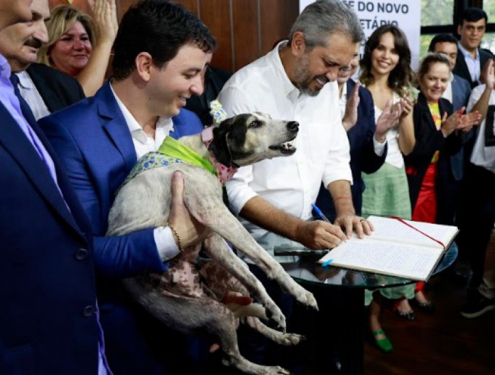 Célio Studart é nomeado secretário da pasta de Proteção Animal  