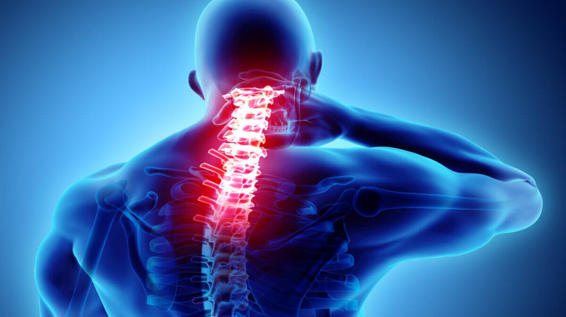 Dor nas costas afeta cerca de 600 milhões de pessoas no mundo (Imagem: MDGRPHCS | Shutterstock)