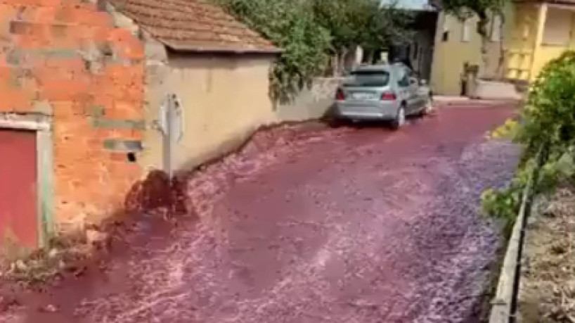 Rio de vinho: dois depósitos de vinho tinto estouraram e inundaram a cidade de Anadia, em Portugal