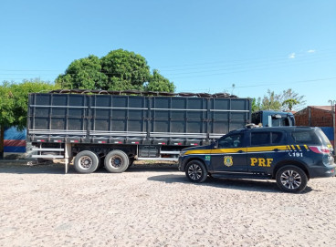 Caminhão com madeira ilegal é apreendido na BR 222, em Coreaú 